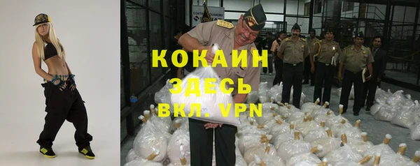молекула духа Белокуриха