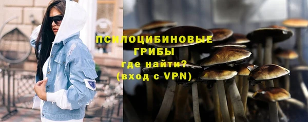 PSILOCYBIN Белоозёрский