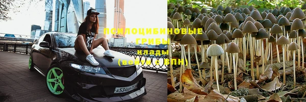 бошки Баксан