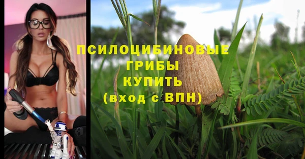 mdpv Беломорск